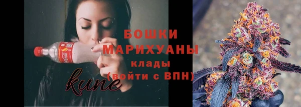 сатива Аркадак