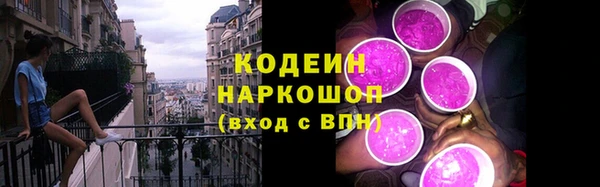 ешки Арсеньев