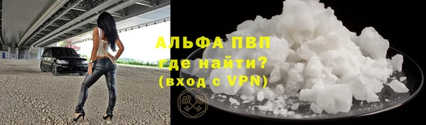 сатива Аркадак