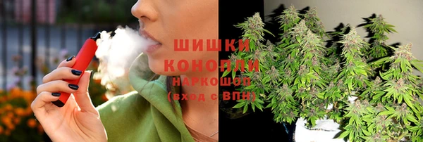 сатива Аркадак