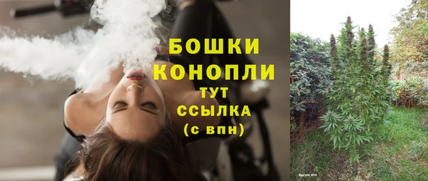 ешки Арсеньев